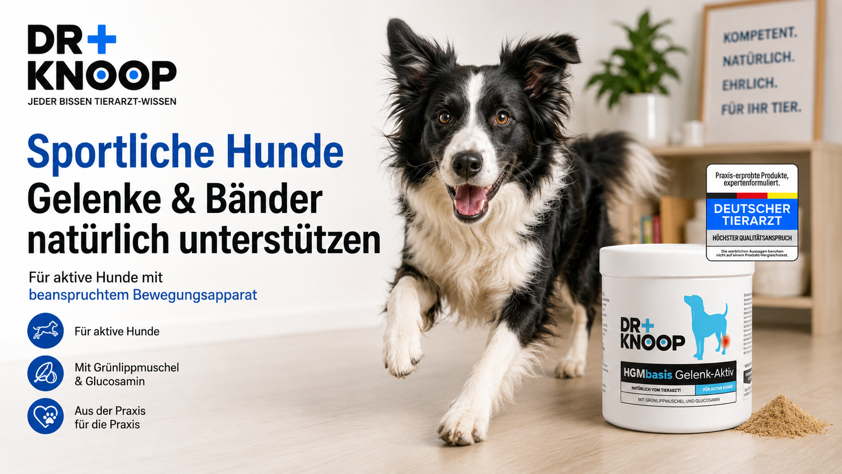 hgm grünlippmuschel glycosamin gelenke agility sport