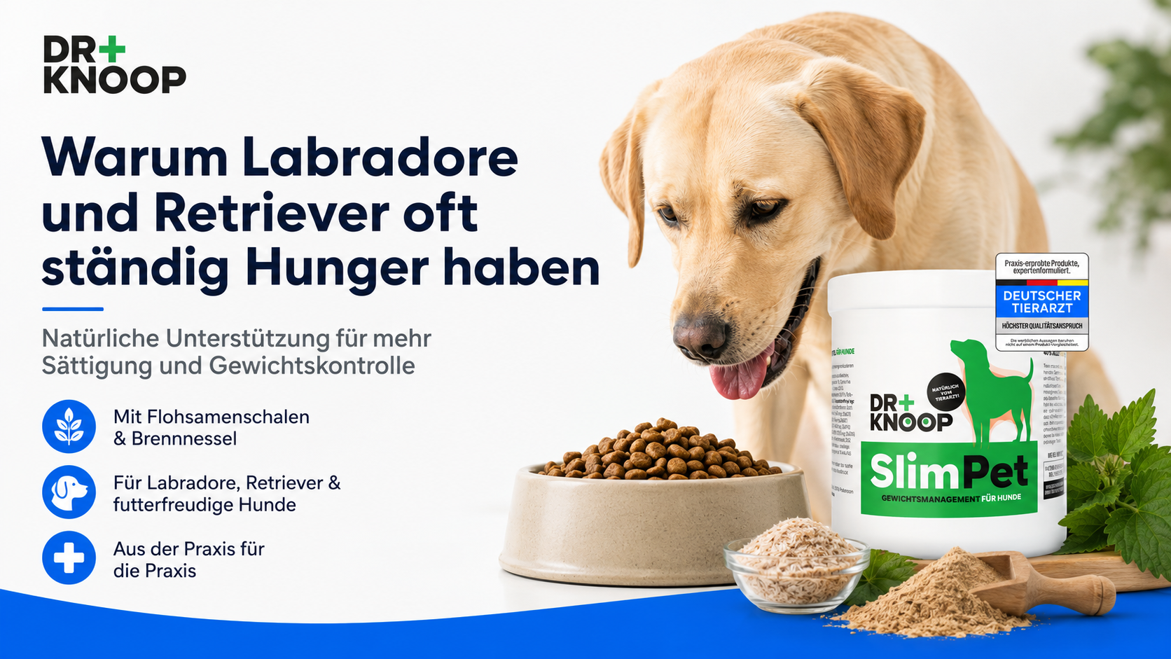 Labrador ständig Hunger – Dr. Knoop Tiergesundheit für Hunde und Katzen slimpet