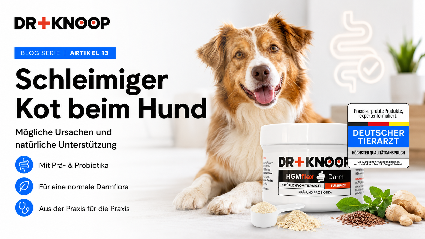schleimiger Kot Hund – Dr. Knoop Tiergesundheit für Hunde und Katzen hgm flex darm 