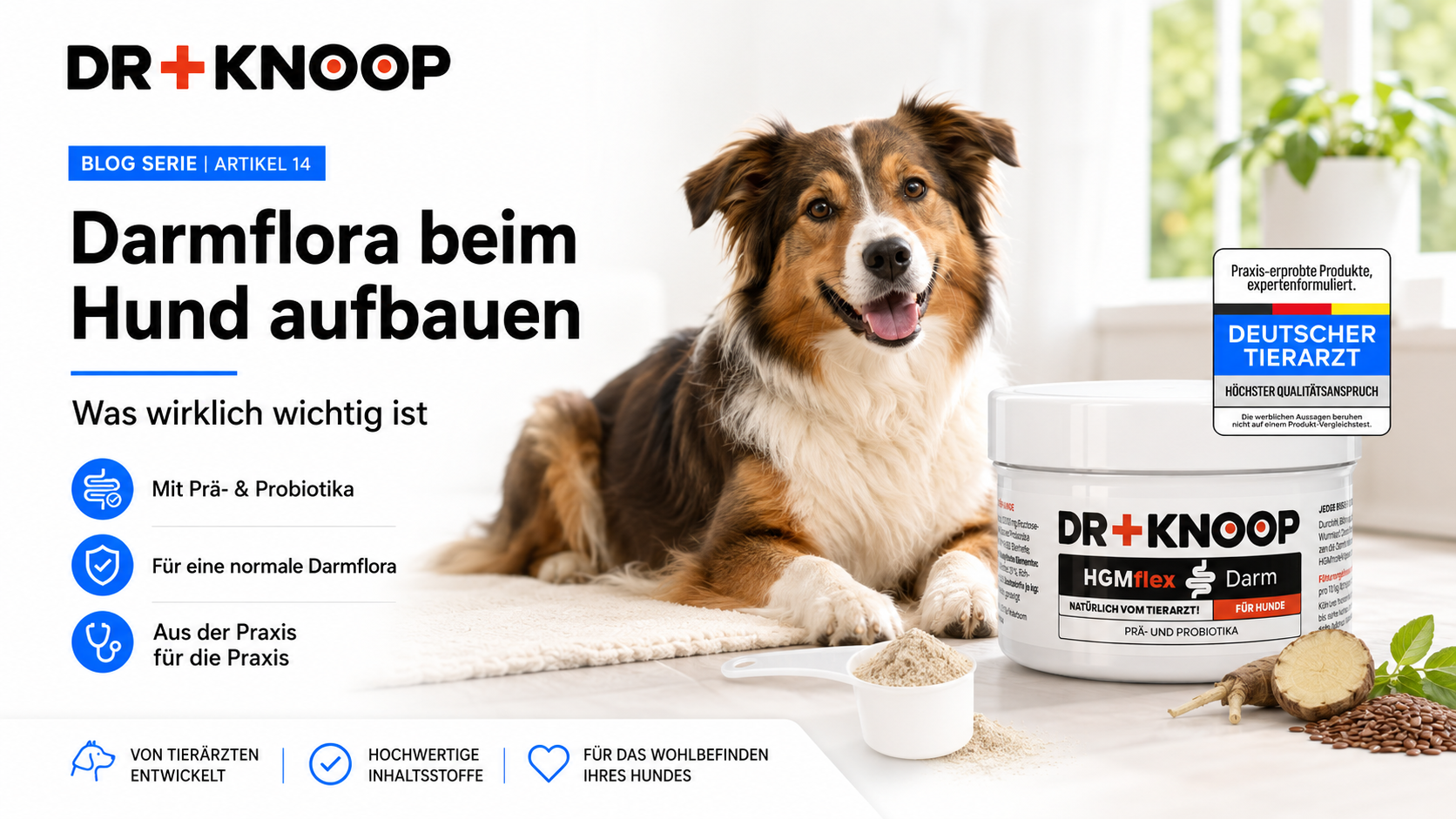 Darmflora Hund aufbauen – Dr. Knoop Tiergesundheit für Hunde und Katzen