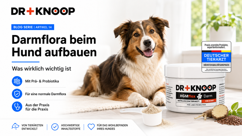 Darmflora Hund aufbauen – Dr. Knoop Tiergesundheit für Hunde und Katzen