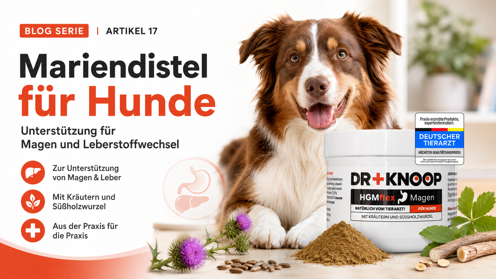Mariendistel Hund Magen Leber – Dr. Knoop Tiergesundheit für Hunde und Katzen