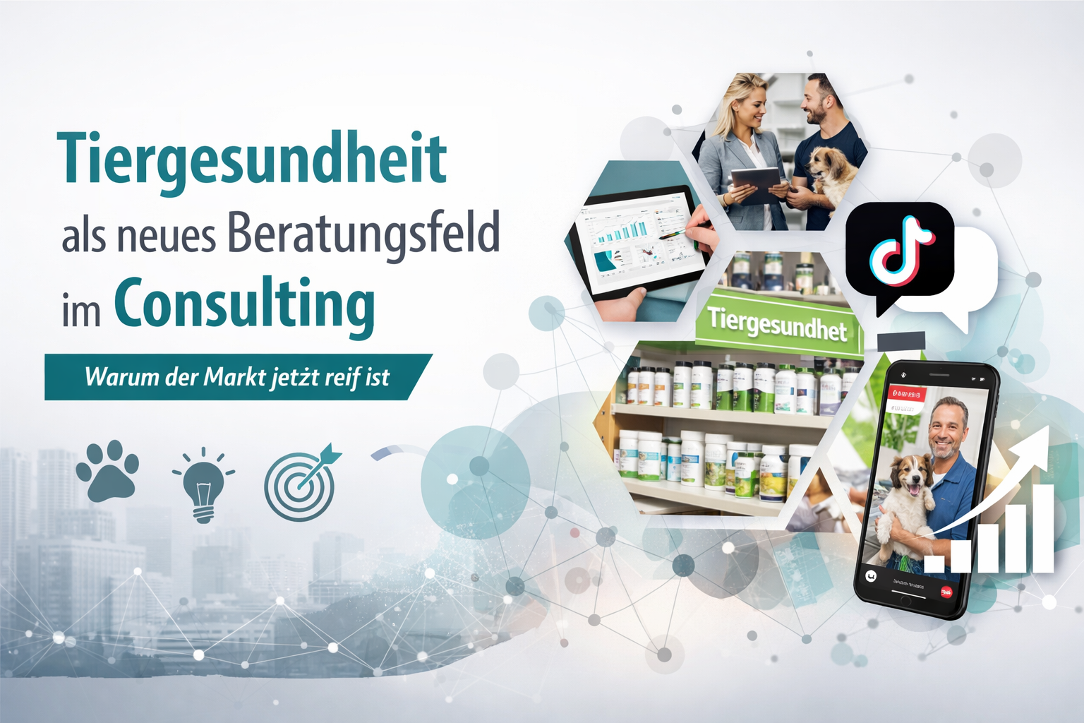 tiergesundheit consulting drknoop vetfly tierarzt 