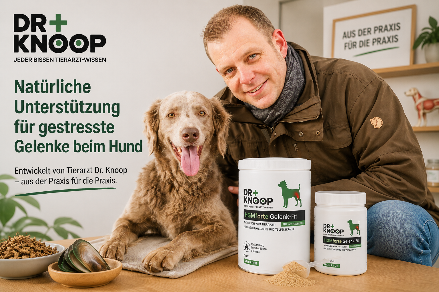 Gelenke Hund natürlich unterstützen – Dr. Knoop Tiergesundheit für Hunde und Katzen