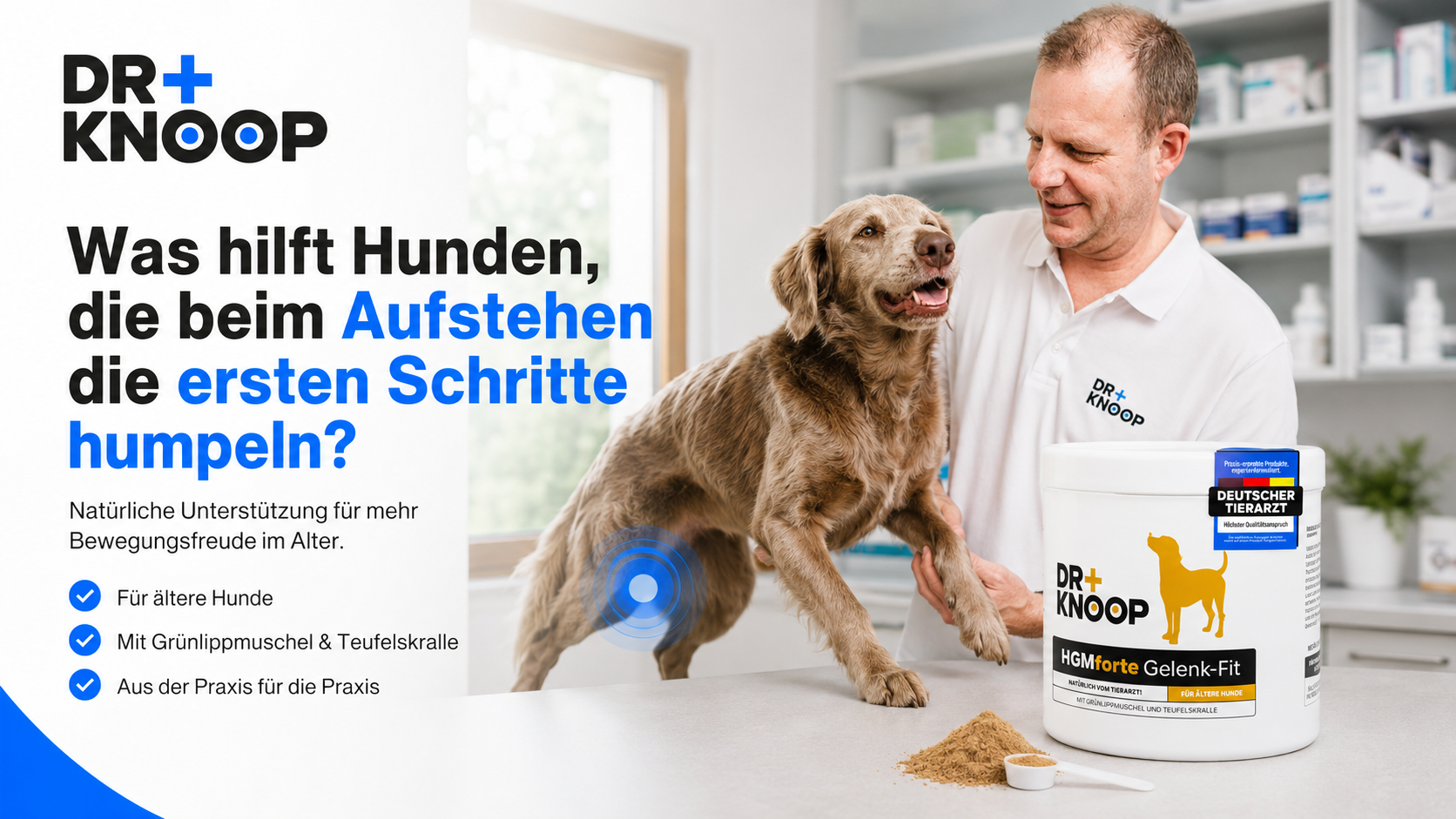 Hund humpelt beim Aufstehen – Dr. Knoop Tiergesundheit für Hunde und Katzen