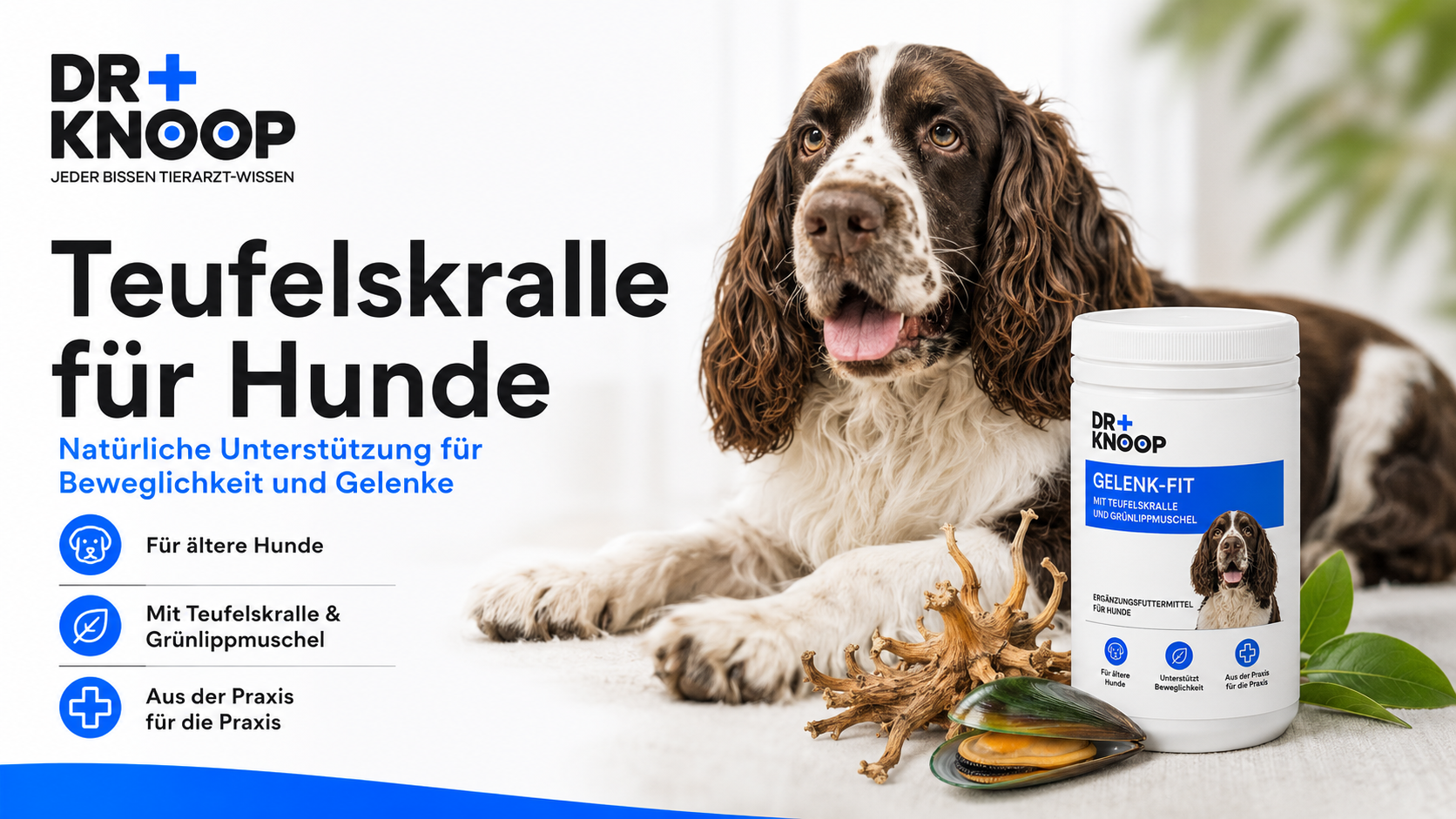 Teufelskralle Hund Gelenke – Dr. Knoop Tiergesundheit für Hunde und Katzen
