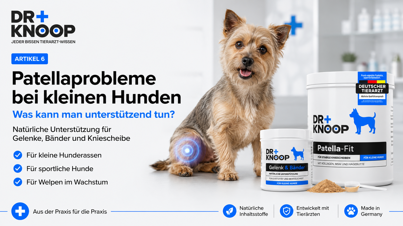 Patella Hund natürlich unterstützen – Dr. Knoop Tiergesundheit für Hunde und Katzen