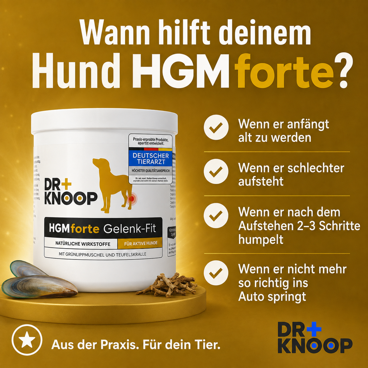 HGMforte Gelenkpulver für ältere Hunde > mehr Bewegungsfreude