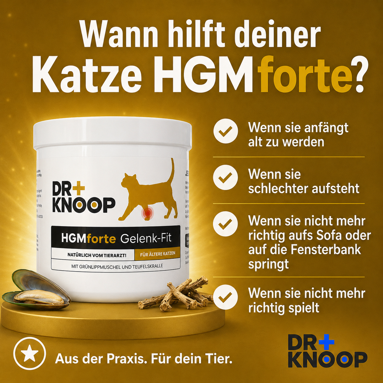HGMforte -Gelenkpulver für ältere Katzen