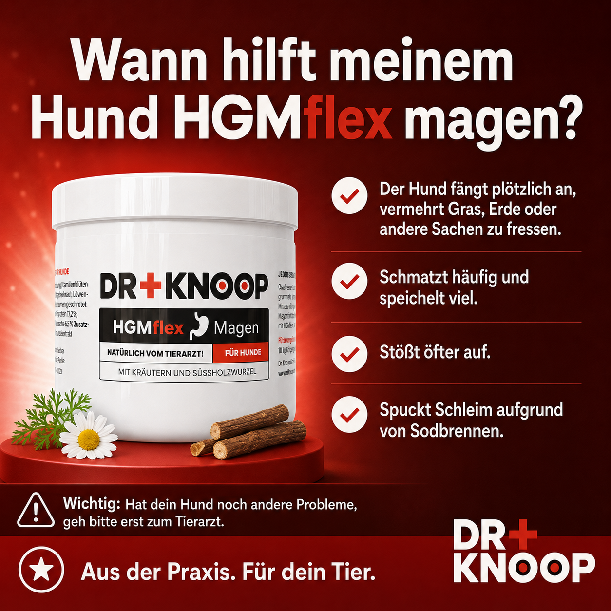 HGMflex Magen - Pulver für Hunde
