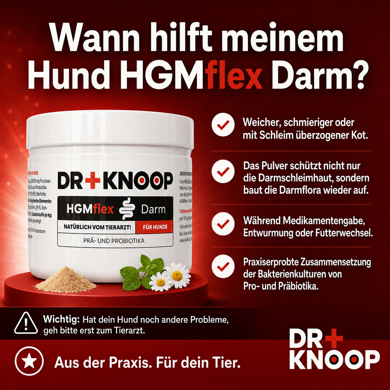 HGMflex Darm - Pulver für Hunde