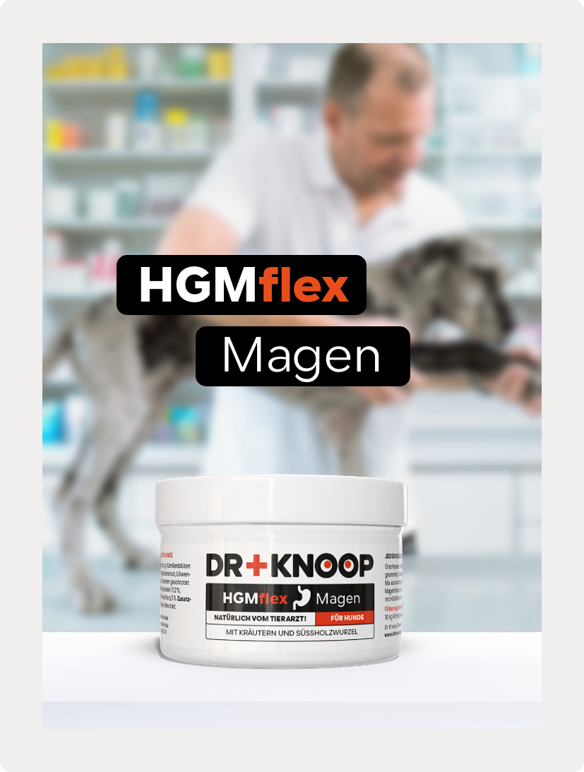 HGMflex Hund Magen - Pulver für Hunde