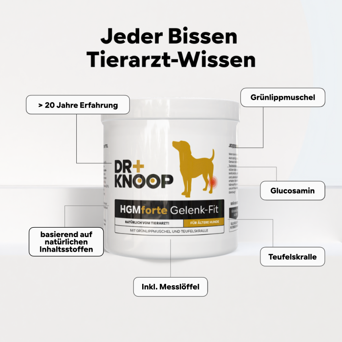 HGMforte Gelenkpulver für ältere Hunde > mehr Bewegungsfreude