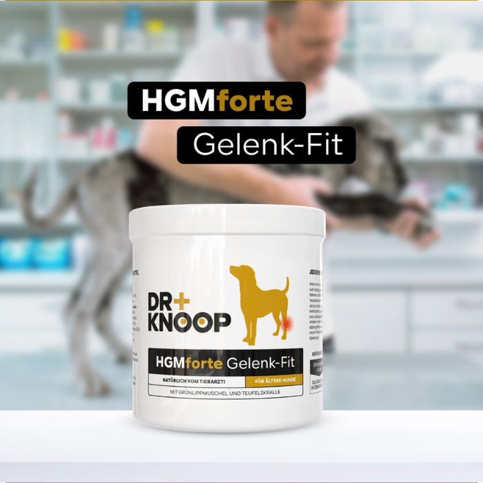 HGMforte Gelenkpulver für ältere Hunde > mehr Bewegungsfreude