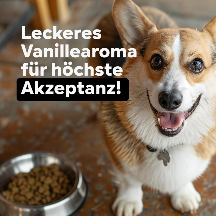 HGMforte Gelenkpulver für ältere Hunde > mehr Bewegungsfreude