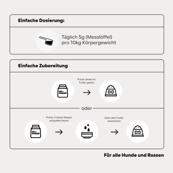 Hund Nahrungsergänzung, Rückenschmerzen, Omega-3 – Ihr Partner für Tiernahrungsergänzungsmittel