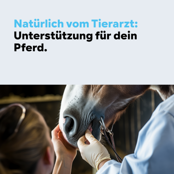 Pferd Nahrungsergänzung, Hautgesundheit, Juckreiz – Ihr Partner für Tiernahrungsergänzungsmittel