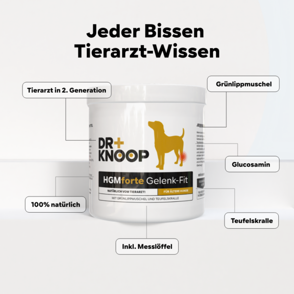 Hund Nahrungsergänzung, Verdauungsstörungen, Magen-Darm – Ihr Partner für Tiernahrungsergänzungsmittel