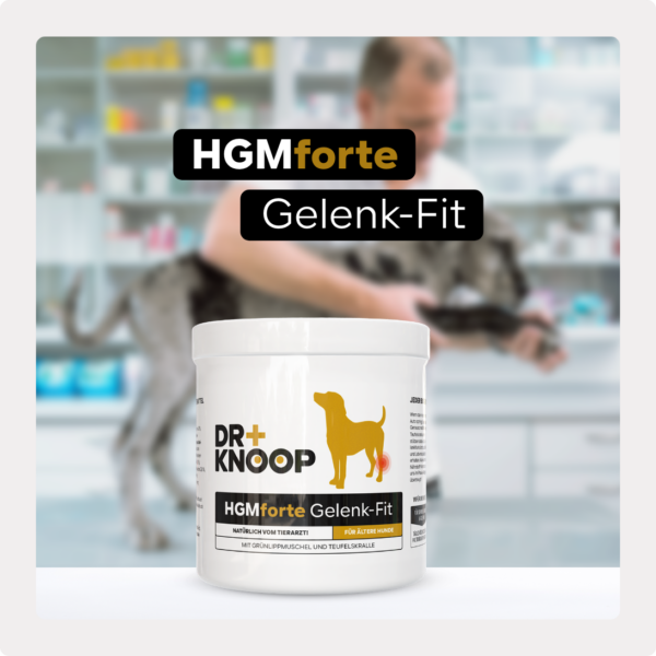 Hund Nahrungsergänzung, Gelenkschmerzen, Grünlippmuschelextrakt – Ihr Partner für Tiernahrungsergänzungsmittel