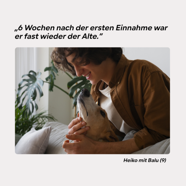 Hund Nahrungsergänzung, Omega-3, Gelenkunterstützung – Ihr Partner für Tiernahrungsergänzungsmittel