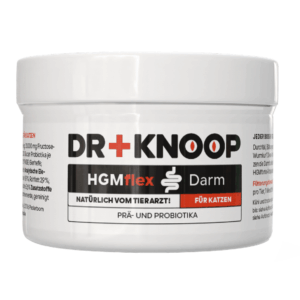 HGM Flex Katze Darm - Pulver für Katzen