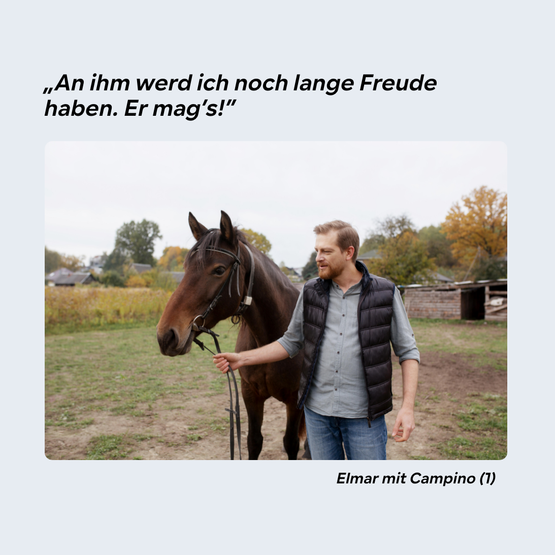 HGMbasis Pferd - Gelenkpulver für aktive Pferde. – Bild 5