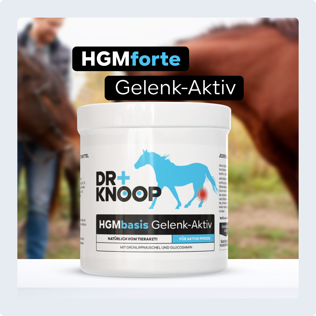 HGMbasis Pferd - Gelenkpulver für aktive Pferde. – Bild 7